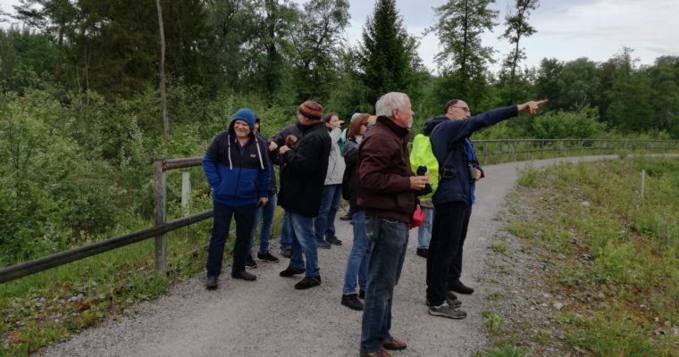 Geschützt: Abendrundgang vom 17. Mai 2018 an der&nbsp;Gürbe