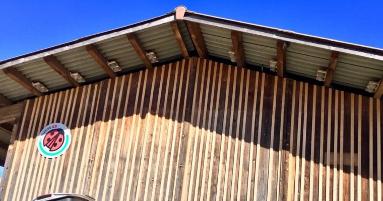 Header — Mehlschwalbennester 1200x550