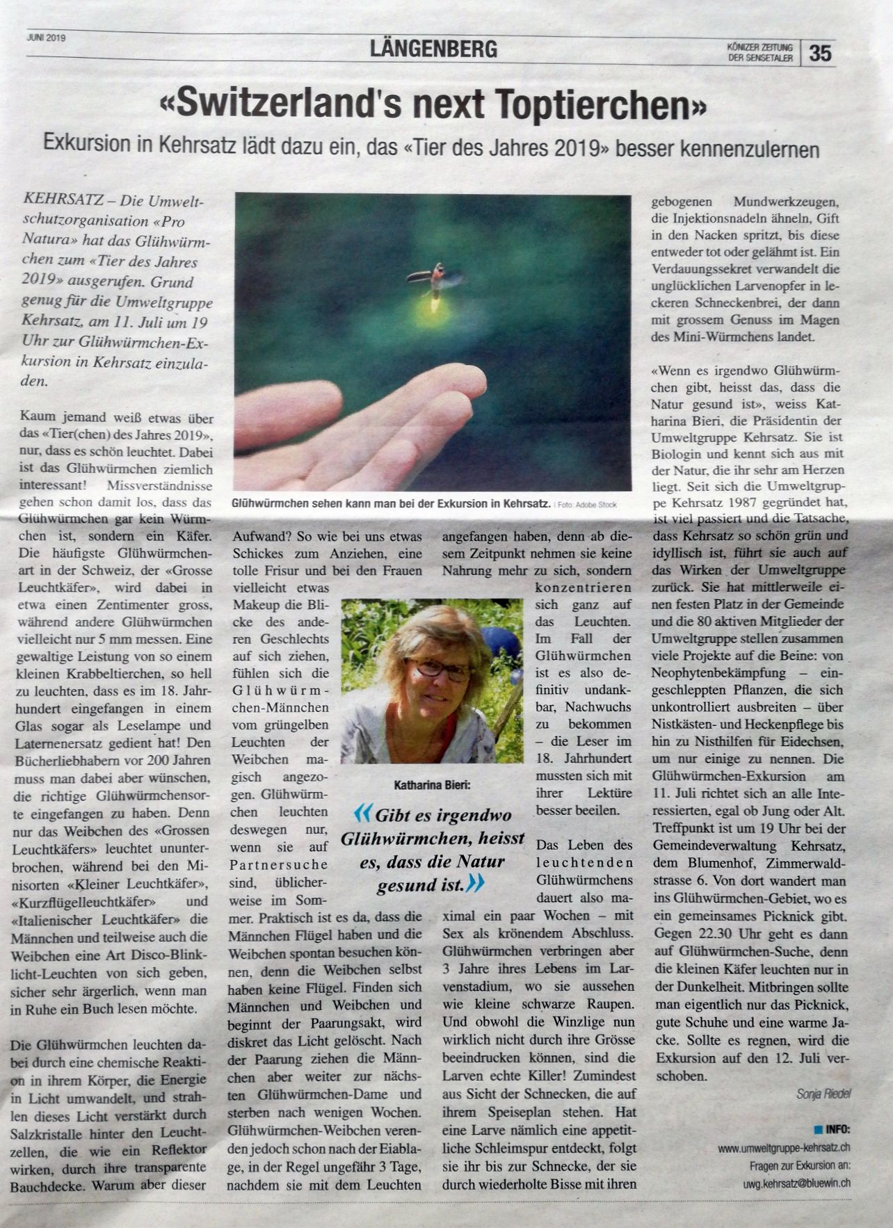 Glühwürmchen-Artikel-im-Könizer