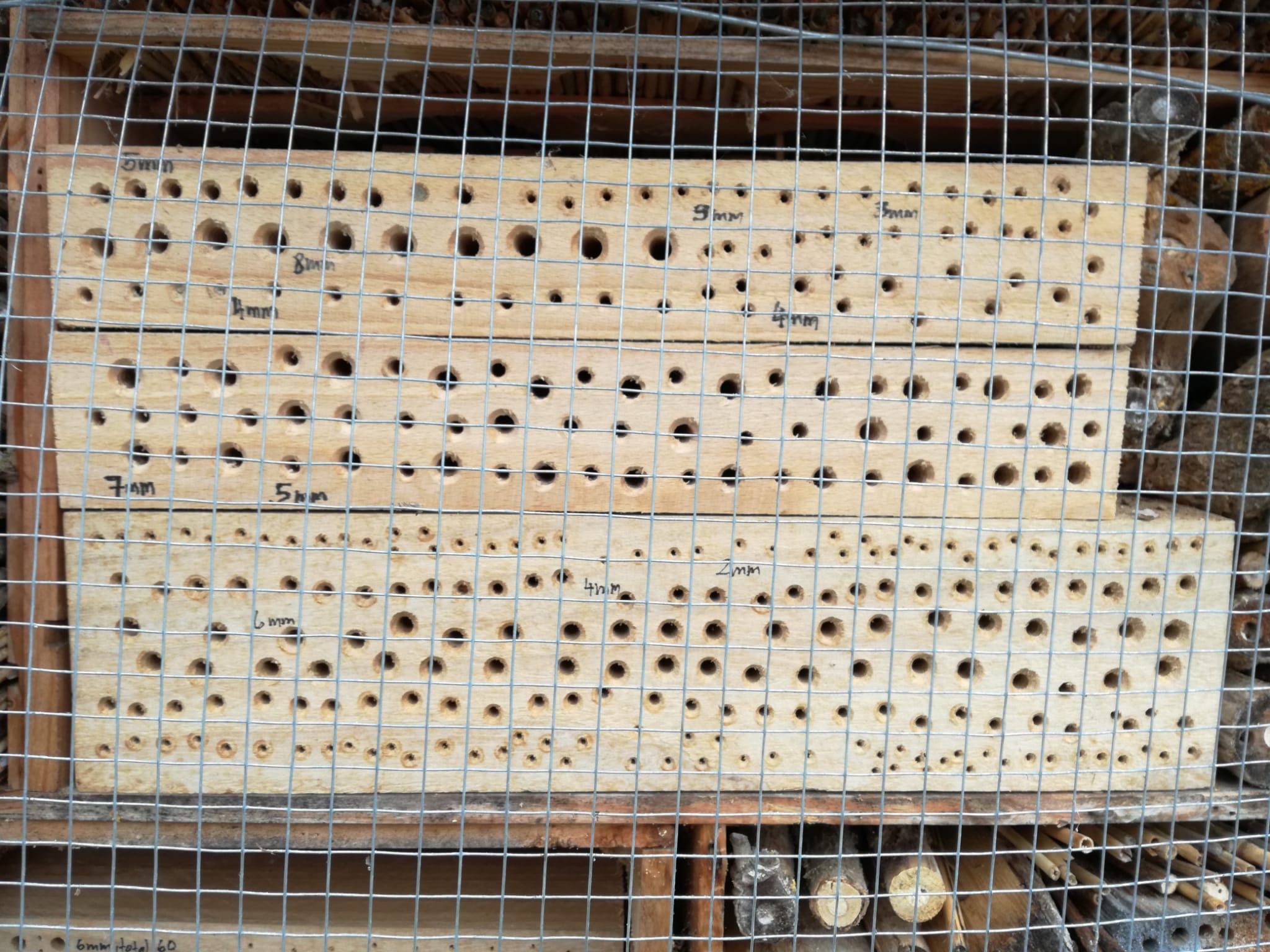 Insektenhotel 4