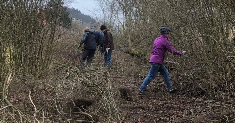 Header — Hecke “Pumpstation Tal” vom 27. Feb.&nbsp;2021