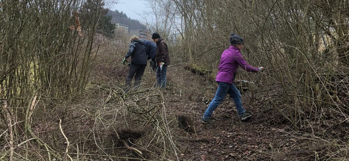 Header — Hecke “Pumpstation Tal” vom 27. Feb.&nbsp;2021