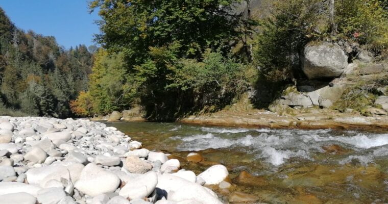 Herbstwanderung 2021 im Sensegraben