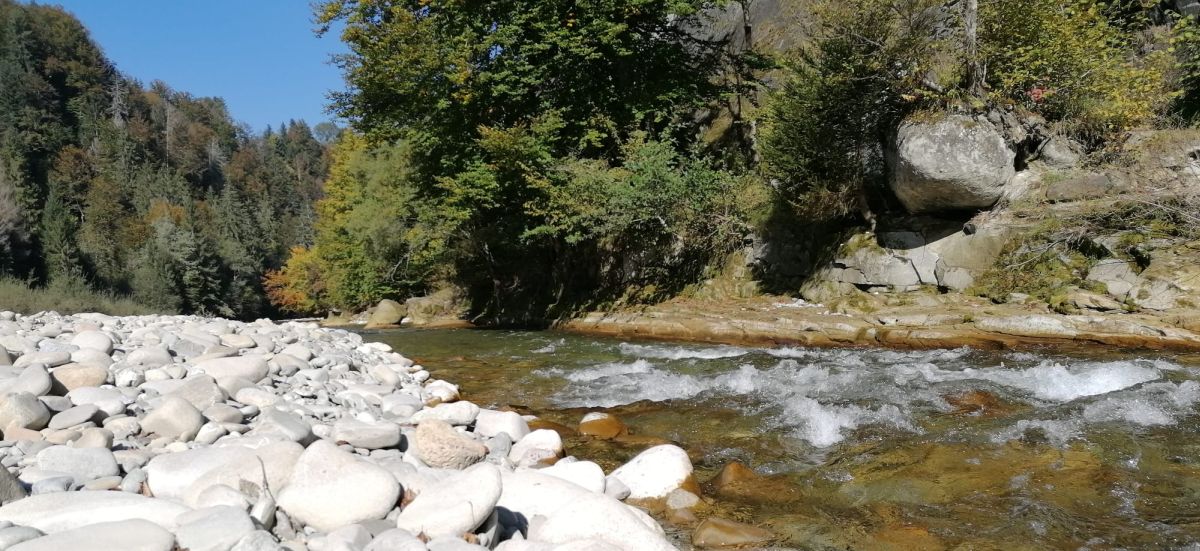 Herbstwanderung 2021 im Sensegraben