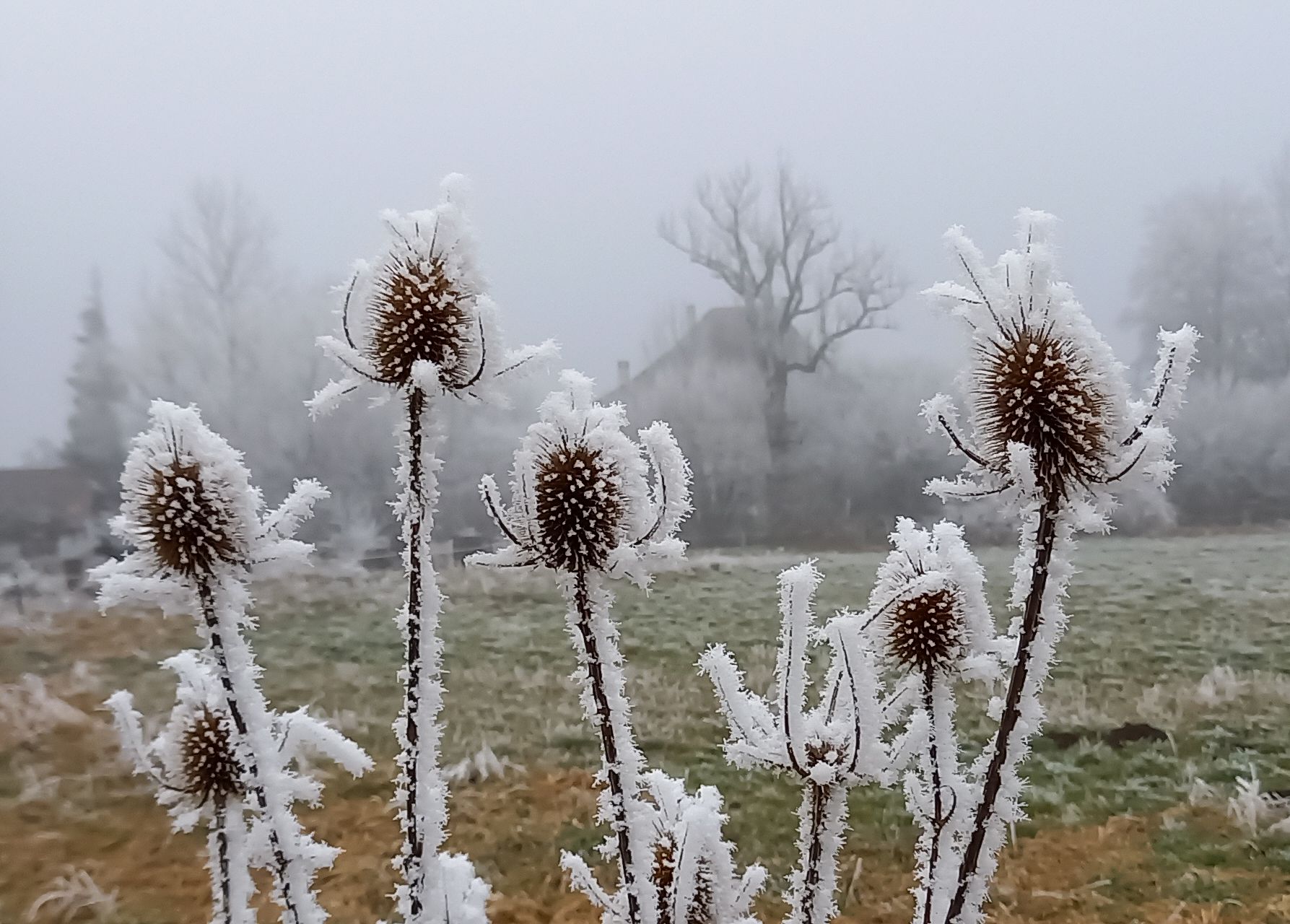 Header — Winter im Hechtloch bei Rubigen