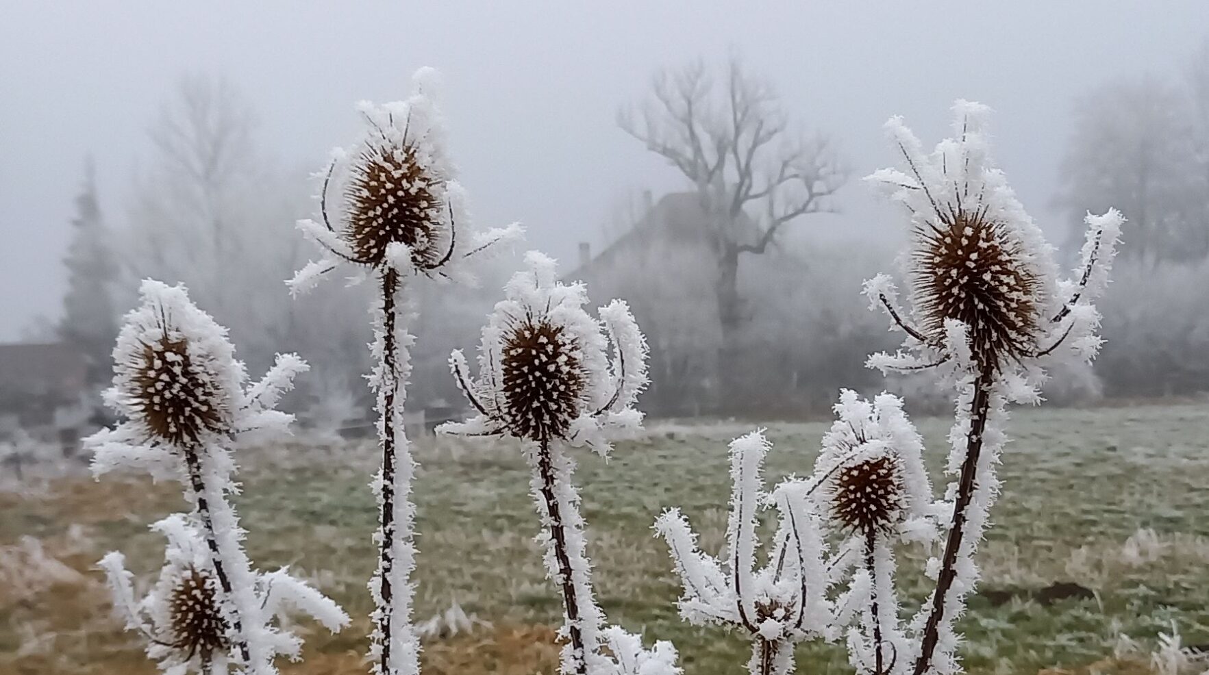 Und zum Schluss, weil der Winter "so schön sein kann": Biecht vom 15. Jan 2022 vom "Hechteloch" (AT)