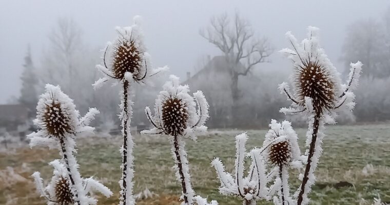 Header — Winter beim der Mühle Hunziken — Biecht