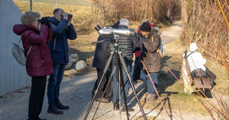 Exkursion vom 22. Januar 2022 am Wohlensee